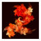 Dancing Firebirds Abstract Art Print