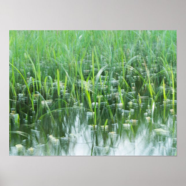 Dancing Grasses Poster (Front)