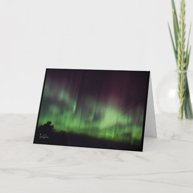 Dancing Lights Over Quiet Trees Blank Card (Front)