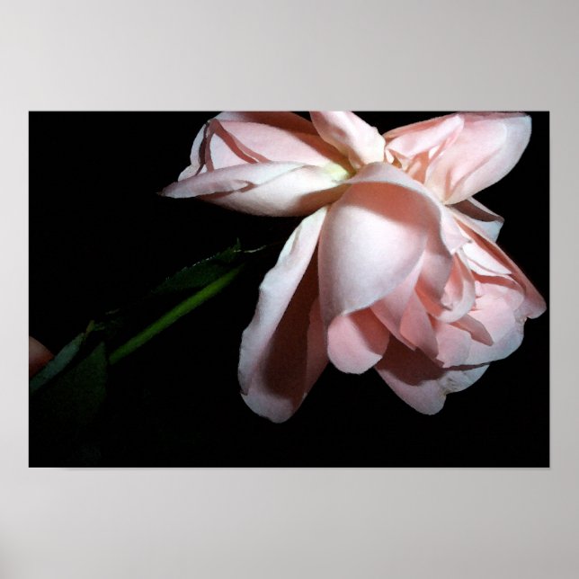 Dancing Rose 19x13 Poster (Front)