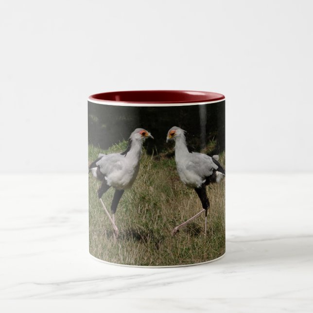 Dancing secretary birds mug (Center)