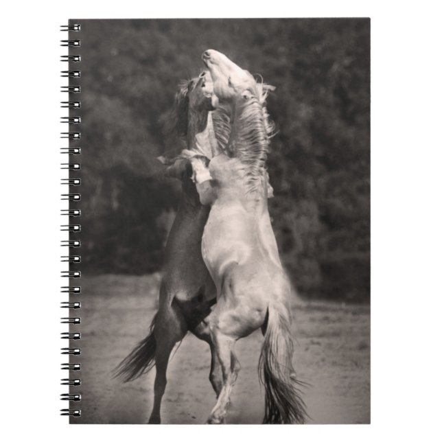 Dancing Stallions Spiral Notebook (Front)