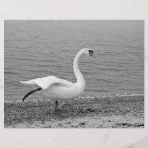 Dancing swan flyer