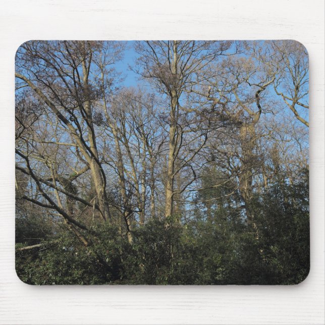 Dancing Trees of the Wild Wood Mouse Pad (Front)
