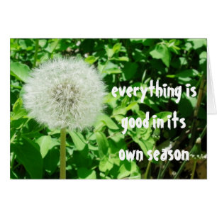 Dandelion