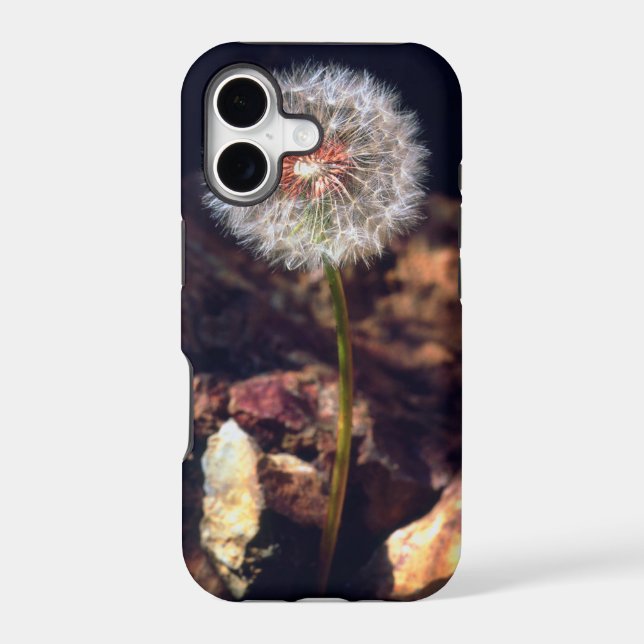 Dandelion (Back)