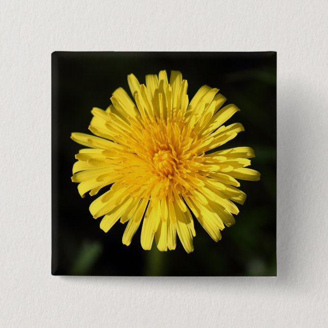 Dandelion 15 Cm Square Badge (Front)
