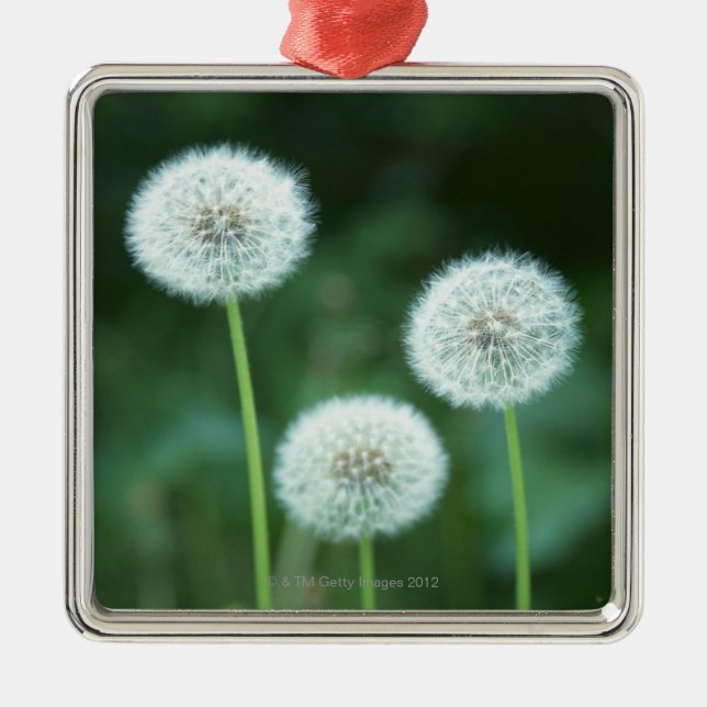 Dandelion 2 metal tree decoration (Front)