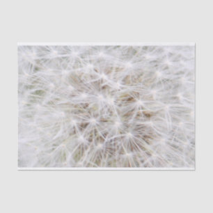 Dandelion 9668 tissue paper