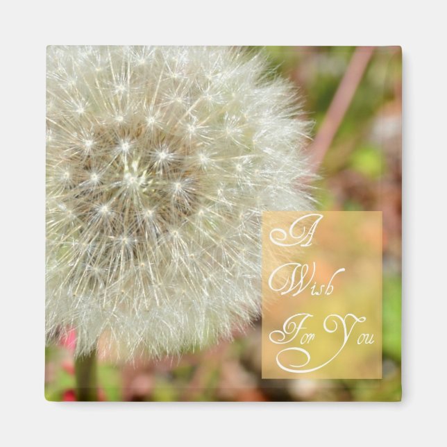 Dandelion- A Wish for You Magnet (Front)
