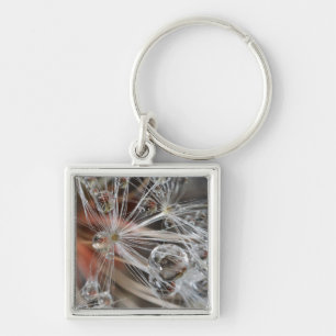 Dandelion Abstract Key Ring