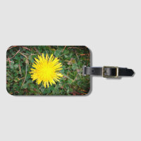 Dandelion and Clovers