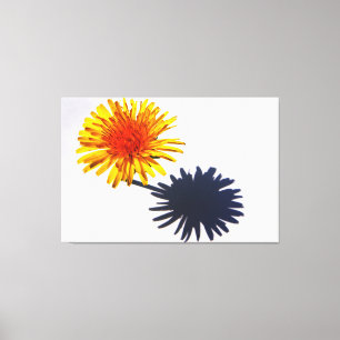 Dandelion and Shadow 60x40 (150x100cm) waccna Canvas Print