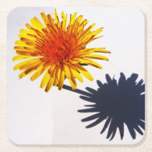Dandelion and Shadow coastercn Square Paper Coaster