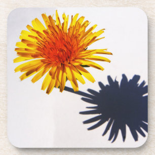 Dandelion and Shadow coastercna Coaster