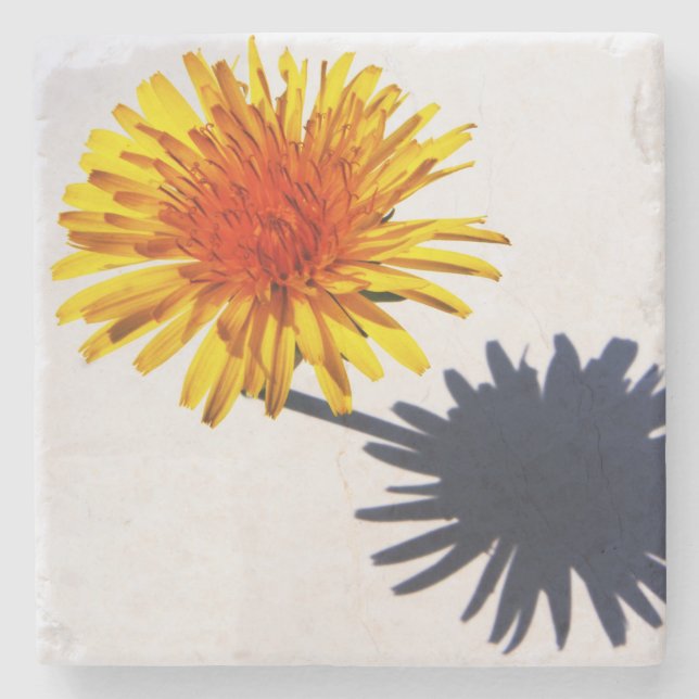 Dandelion and Shadow coastercnm Stone Coaster (Front)