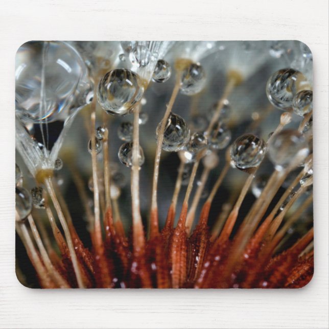 Dandelion and water drops, CA Mouse Pad (Front)