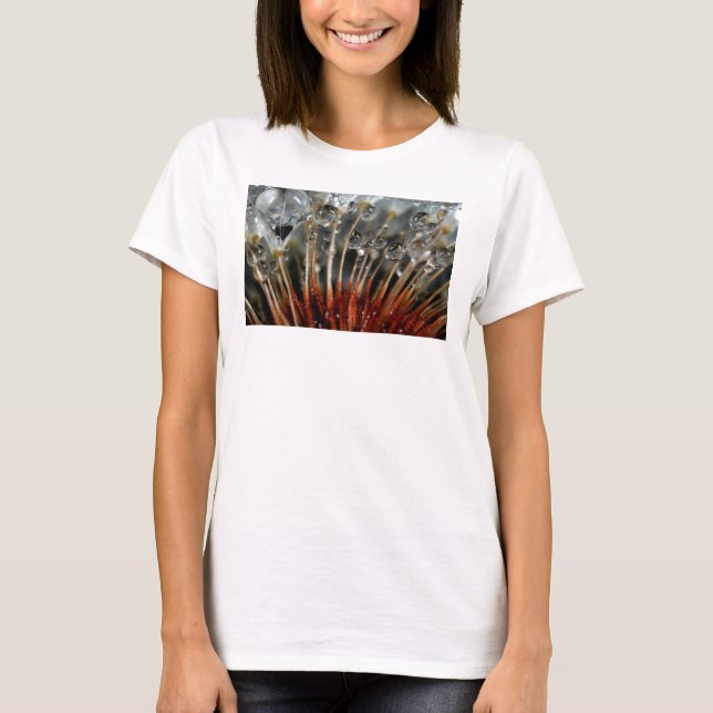 Dandelion and water drops, CA T-Shirt (Front)