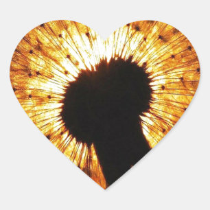 Dandelion at Sunset Heart Sticker