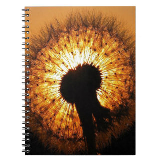 Dandelion at Sunset Spiral Notebook