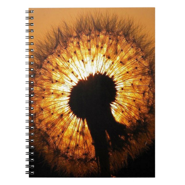 Dandelion at Sunset Spiral Notebook (Front)