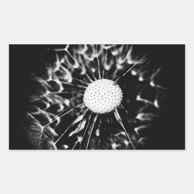 dandelion blacq rectangular sticker (Front)