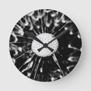 dandelion blacq round clock