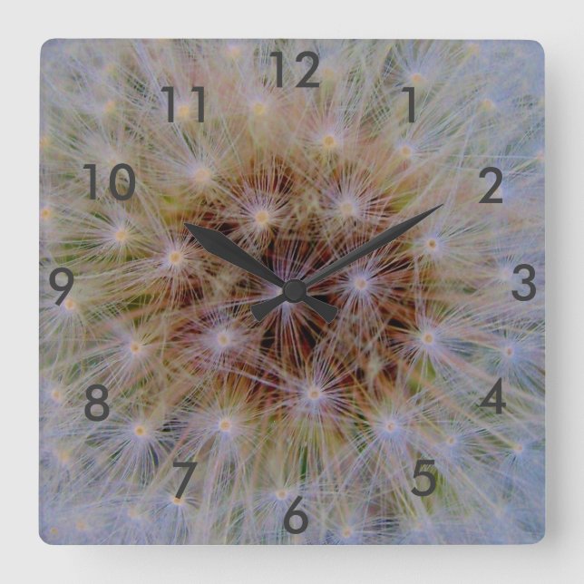Dandelion Blossom Square Wall Clock (Front)