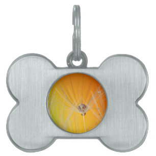 Dandelion Blossoms Flowers Destiny Peace Love Art Pet Name Tag