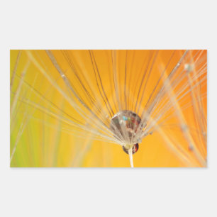 Dandelion Blossoms Flowers Destiny Peace Love Art Rectangular Sticker