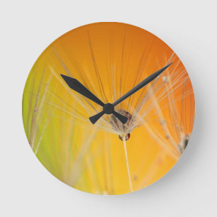 Dandelion Blossoms Flowers Destiny Peace Love Art Round Clock