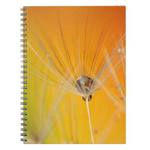 Dandelion Blossoms Flowers Destiny Peace Love Art Spiral Notebook