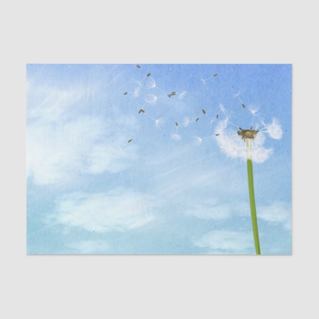 Dandelion Blue Sky Nature Illustration Tissue Paper (Front)
