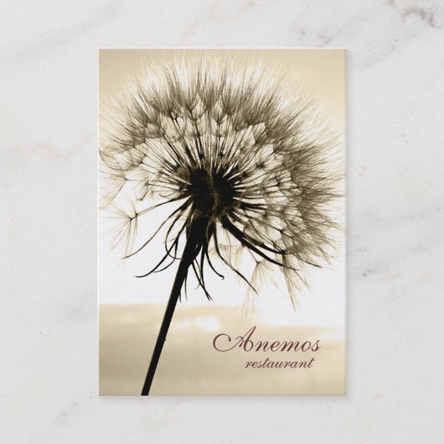 dandelion business card (Front)