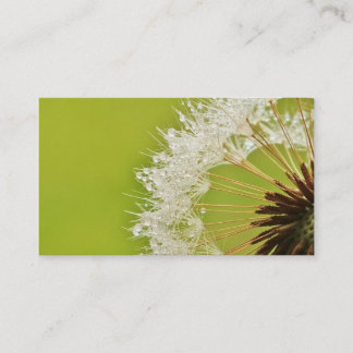 Dandelion business cards