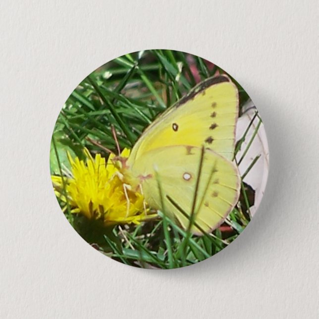 Dandelion Butterfly 6 Cm Round Badge (Front)