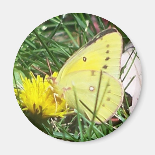 Dandelion Butterfly Magnet (Front)