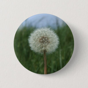 Dandelion Button