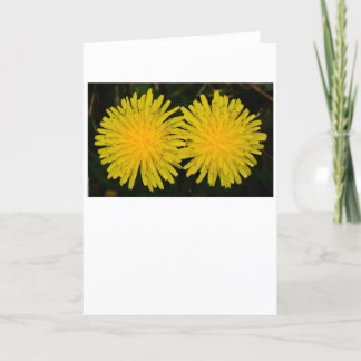 Dandelion, card