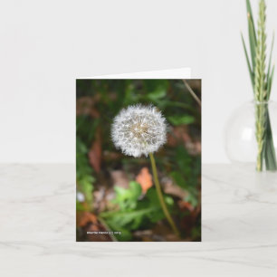 Dandelion Card