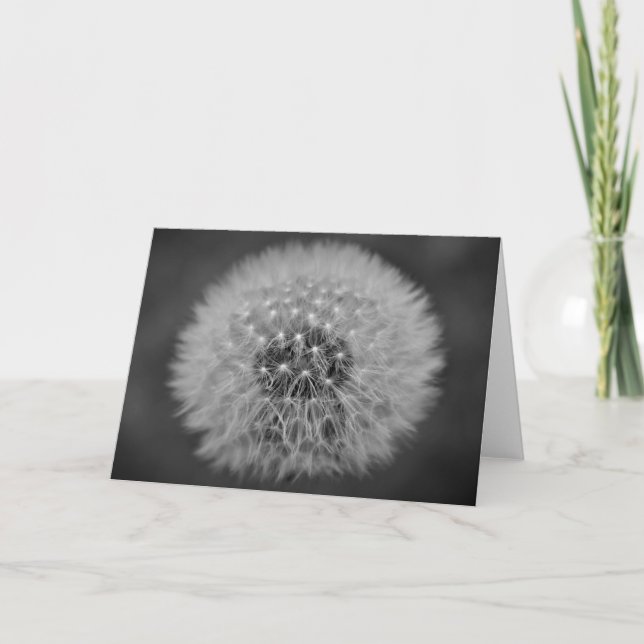 Dandelion, card (Front)