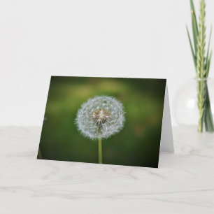 Dandelion, card
