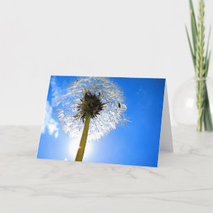 Dandelion Card