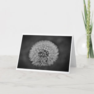 Dandelion, card