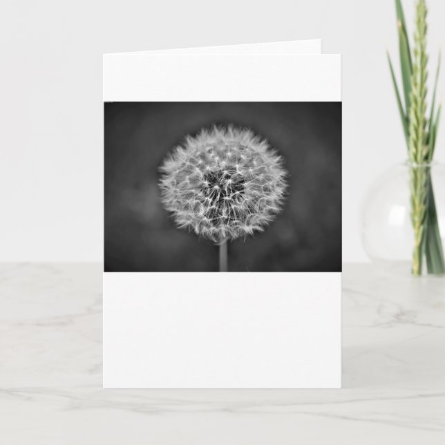 Dandelion, card (Front)