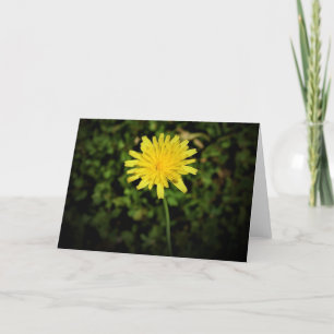 Dandelion, card