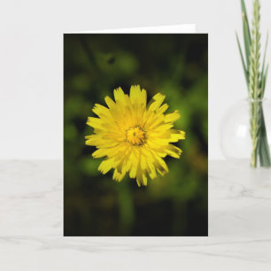 Dandelion, card