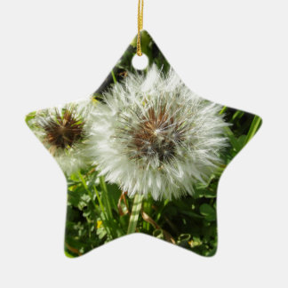 Dandelion Ceramic Tree Decoration