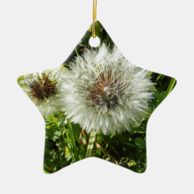 Dandelion Ceramic Tree Decoration (Front)