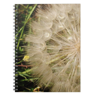 Dandelion Clock Close-Up Spiral Notebook